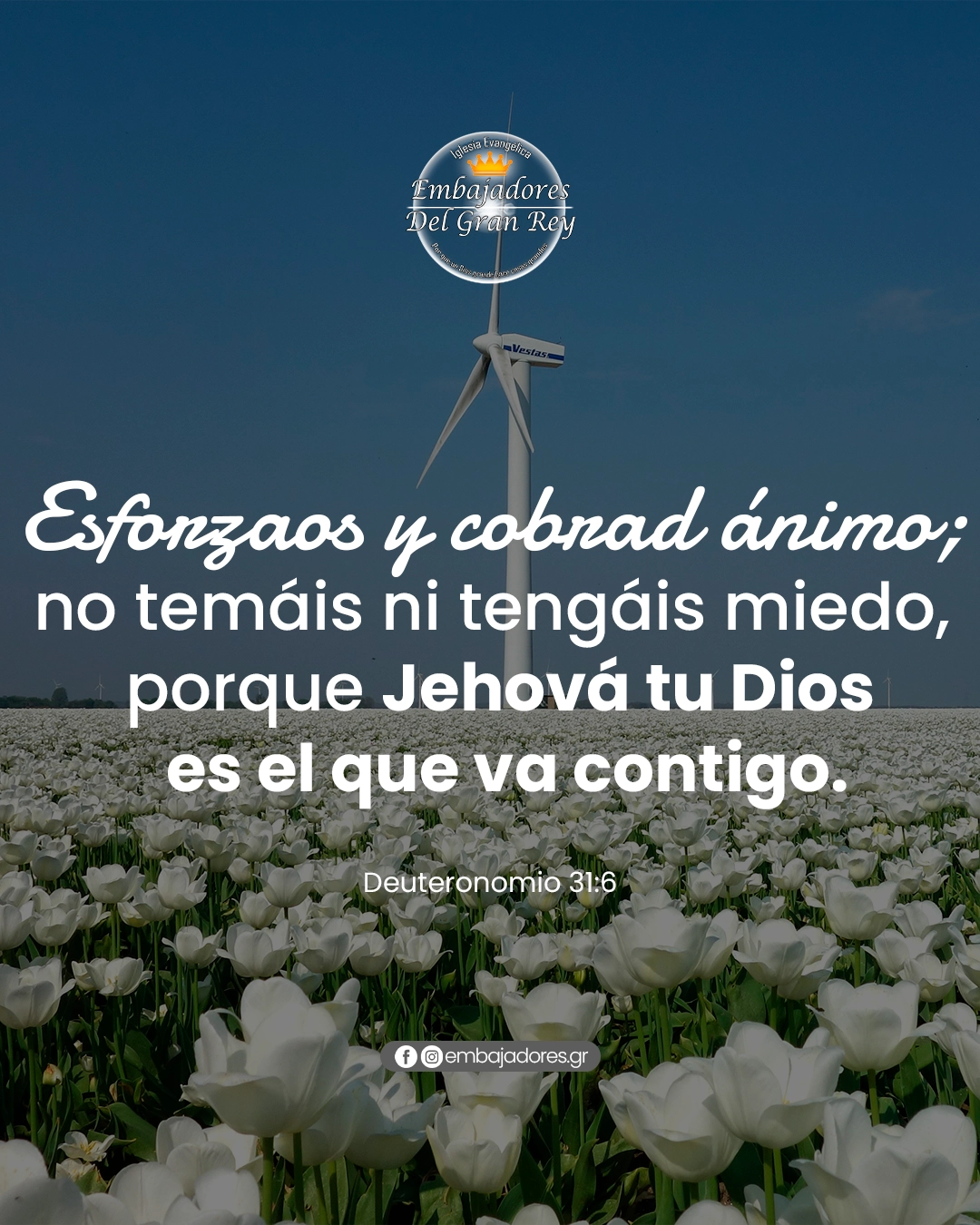 Dios Va Contigo