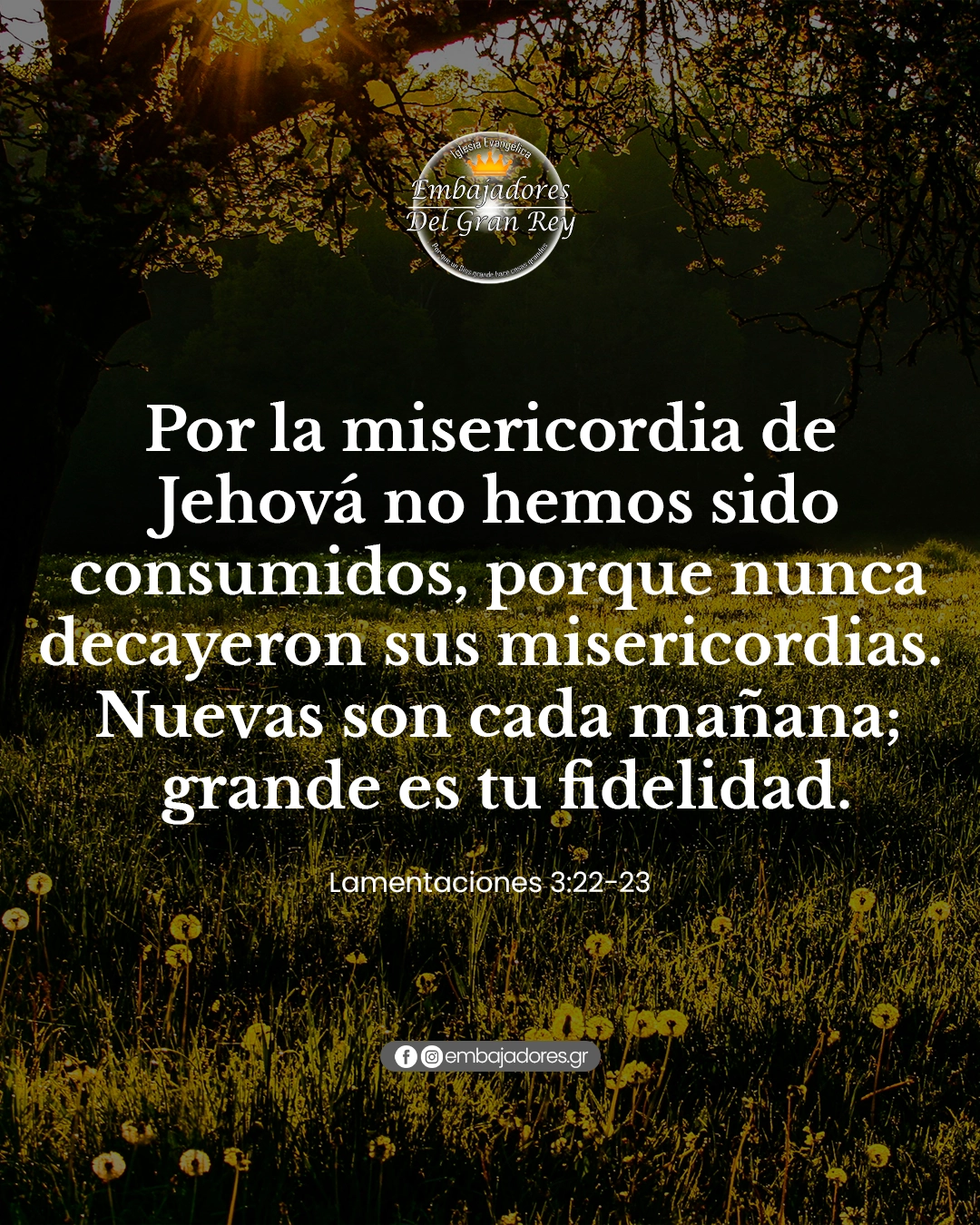 Dios Va Contigo