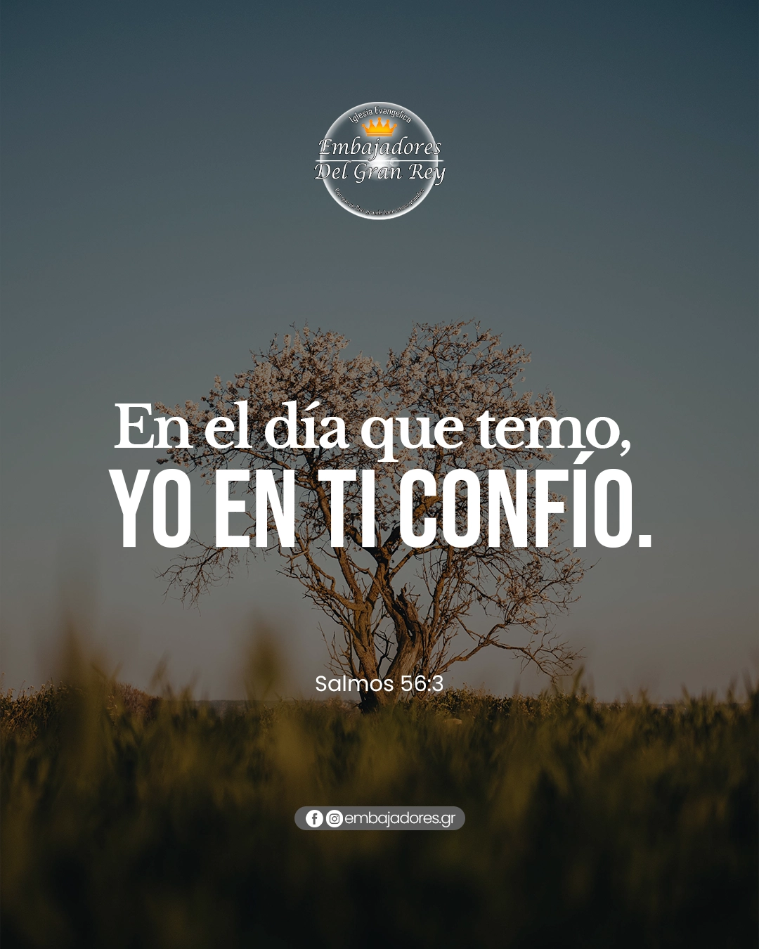 Confianza en Medio del Temor