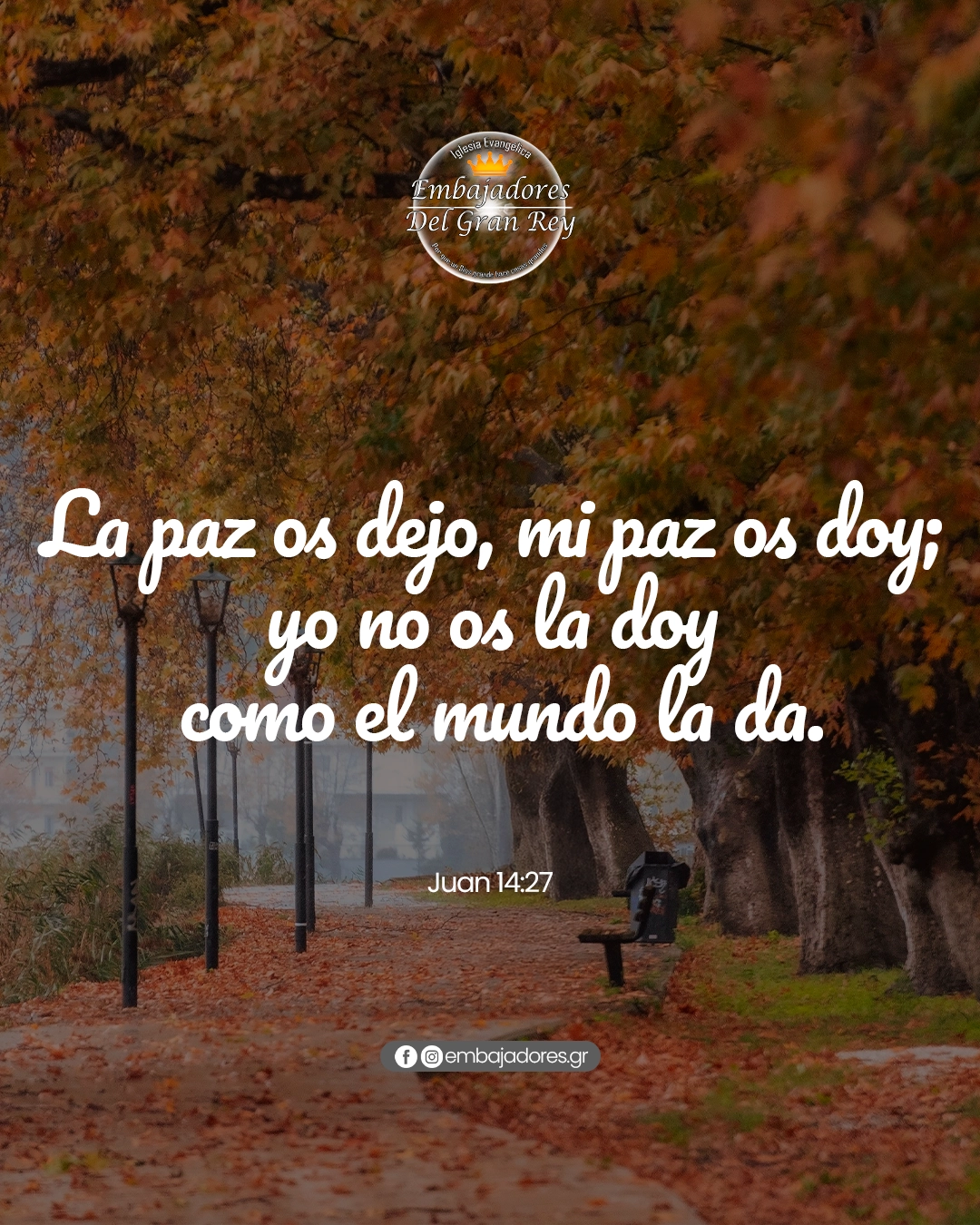 La paz que solo Dios puede dar